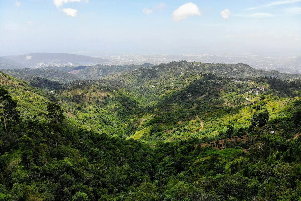 Forested valleys and small farms on the slopes of the Blue Mountains, Jamaica